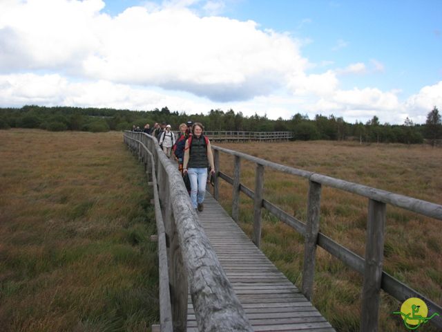 randonnée sportive avec joëlettes, Ovifat, 2012